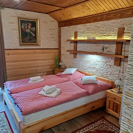Guest house Havran 3*