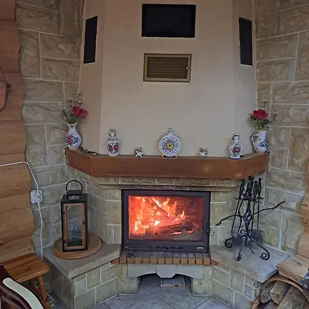 Guest house Havran 3*